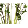 EUROPALMS Amžinai žaliuojantis krūmas su žole, dirbtinis augalas, 120 cm 82600183