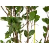 EUROPALMS Amžinai žaliuojantis krūmas su žole, dirbtinis augalas, 120 cm 82600183