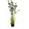 EUROPALMS Amžinai žaliuojantis krūmas su žole, dirbtinis augalas, 120 cm 82600183