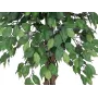 EUROPALMS Ficus Benjamina daugiavaisis dirbtinis augalas, 180 cm 82506126
