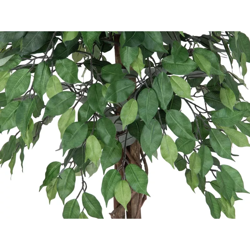 EUROPALMS Ficus Benjamina daugiavaisis dirbtinis augalas, 180 cm 82506126