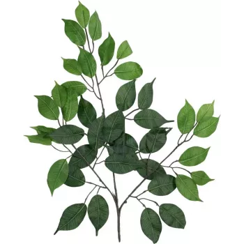 EUROPALMS Ficus Benjamina dirbtinė šakelė, 60 cm, 12 vnt., žalia 82506101
