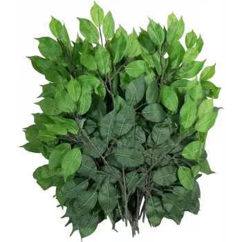 EUROPALMS Ficus Benjamina dirbtinė šakelė, 60 cm, 12 vnt., žalia 82506101
