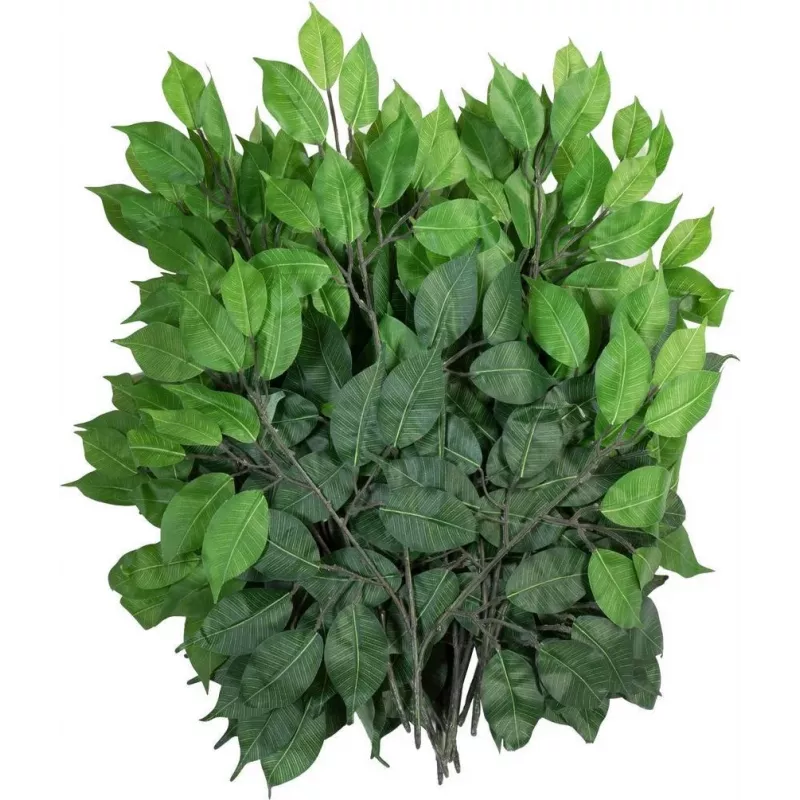EUROPALMS dirbtinė Ficus Benjamina šakelė, 12 vienetų rinkinys 82506101
