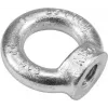 ACCESSORY Ring Nut M20 DIN 582 C15 Steel Lifting Eye Nut 30001178