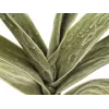EUROPALMS dirbtinė jukos šaka (EVA), žalia 82531063