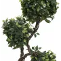 EUROPALMS Ficus Multi Spiral Trunk dirbtinis augalas, 160cm 82501563