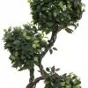 EUROPALMS Ficus Multi Spiral Trunk dirbtinis augalas, 160cm 82501563