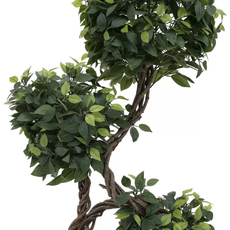 EUROPALMS Ficus Multi Spiral Trunk dirbtinis augalas, 160cm 82501563