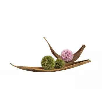 EUROPALMS Succulent Ball EVA dirbtinis augalas, žalias, 16 cm 82531074