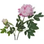 EUROPALMS Premium Peony Branch dirbtinis augalas, rožinis, 100 cm 82530220