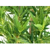 EUROPALMS Bambus deluxe dirbtinis augalas, 150 cm, 82509166