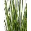 EUROPALMS Zebra Grass dirbtinė žolė, 90 cm, 82505863