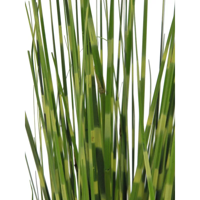 EUROPALMS Zebra Grass dirbtinė žolė, 90 cm, 82505863