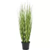 EUROPALMS Zebra Grass dirbtinė žolė, 90 cm, 82505863