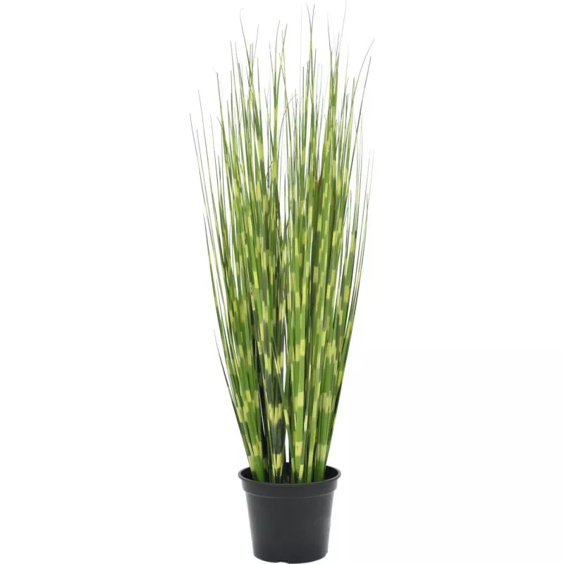 EUROPALMS Zebra Grass dirbtinė žolė, 90 cm, 82505863