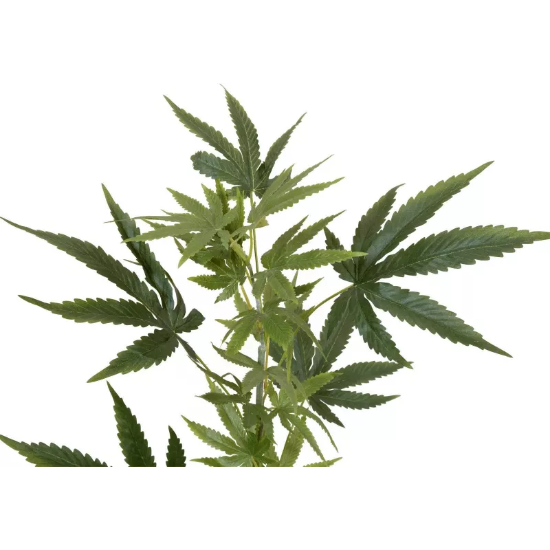 EUROPALMS Dirbtinė kanapių šakelė, 90cm, žalia 82506699