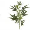 EUROPALMS Dirbtinė kanapių šakelė, 90cm, žalia 82506699
