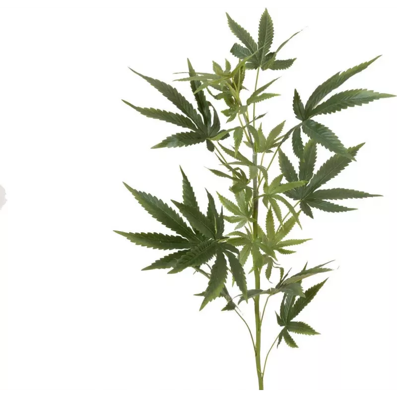 EUROPALMS Dirbtinė kanapių šakelė, 90cm, žalia 82506699