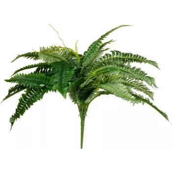 EUROPALMS Boston Fern dirbtinis augalas, 53cm, žalias 82519934