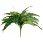EUROPALMS Boston Fern dirbtinis augalas, 53cm, žalias 82519934