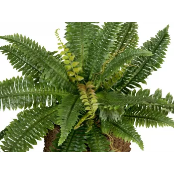 EUROPALMS Boston Fern dirbtinis augalas, 53cm, žalias 82519934