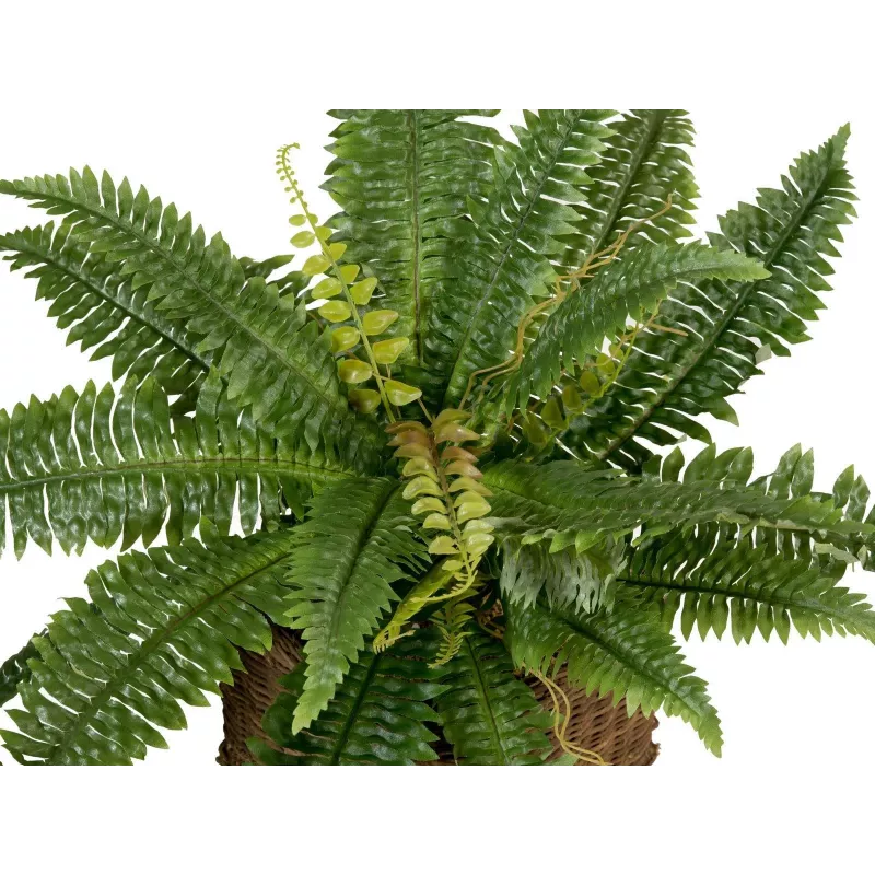 EUROPALMS Boston Fern dirbtinis augalas, 53cm, žalias 82519934