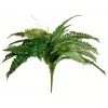 EUROPALMS Boston Fern dirbtinis augalas, 53cm, žalias 82519934