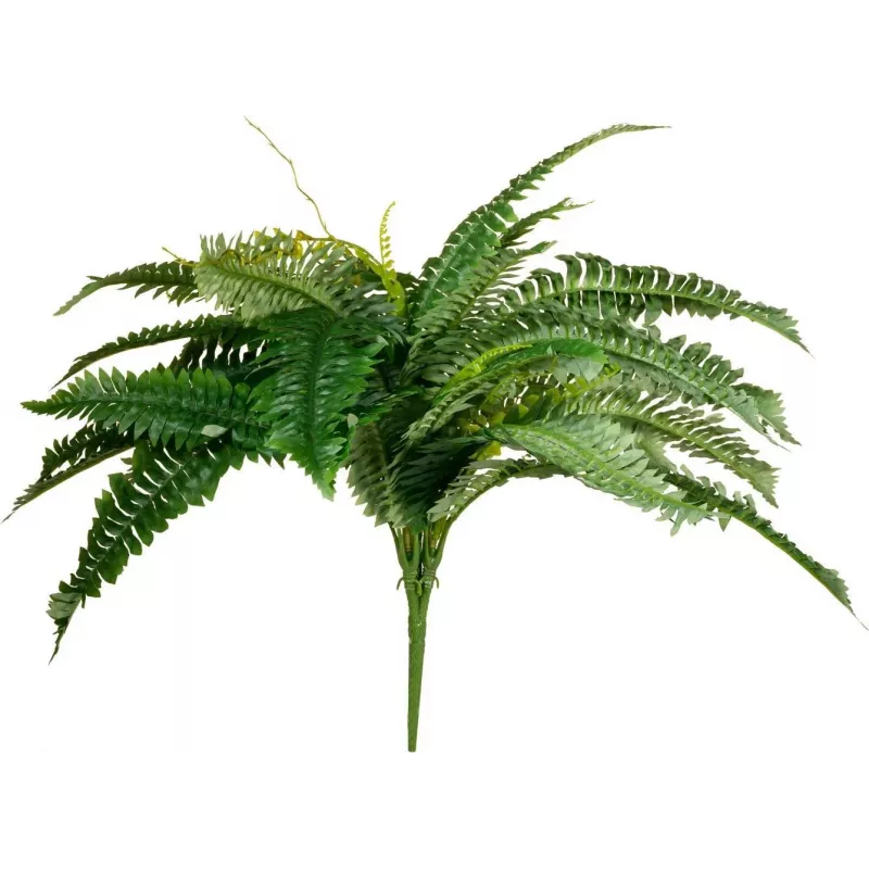 EUROPALMS Boston Fern dirbtinis augalas, 53cm, žalias 82519934