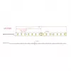 SYNERGY21 Flex Strip šiltai balta DC24V 72W IP67 CRI>90 (S21-LED-B220010)