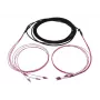 SYNERGY21 S217052V2 Fiber Optic Trunk Cable U-DQ(ZN)BH 4G 50/125 OM4 LC/LC 30m