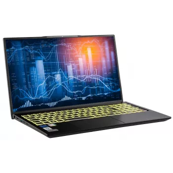 Captiva Notebook Power Starter I99-002GE i5-1335U (17,3 colio, 32GB, 500GB SSD, Intel Iris Xe Graphics, Win 11 Home)