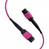 EFB MTP-F/MTP-F 36 gijų matricinis patch kabelis OM4, LSZH Erika Violet, Type A, 25m MTPF36MTPFOM4-25-A