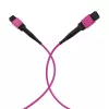 EFB MTP-F/MTP-F 36 gijų matricinis patch kabelis OM4, LSZH Erika Violet, Type A, 25m MTPF36MTPFOM4-25-A