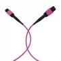 EFB Elektronik MPO-PLUS(F)-MPO-PLUS(F) OM4 12 gijų Type B LSZH pataisymo kabelis, Erika-Violet, 20 m MPOF12MPOFOM4-20
