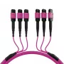 EFB Elektronik MTP-F/MTP-F 48 pluoštų matricos pataisos kabelis OM4, LSZH Erika Violet, Code A, 25m MTPF48MTPFOM4-25-A