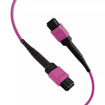 EFB Elektronik MTP-F/MTP-F 48 pluoštų matricos pataisos kabelis OM4, LSZH Erika Violet, Code A, 25m MTPF48MTPFOM4-25-A
