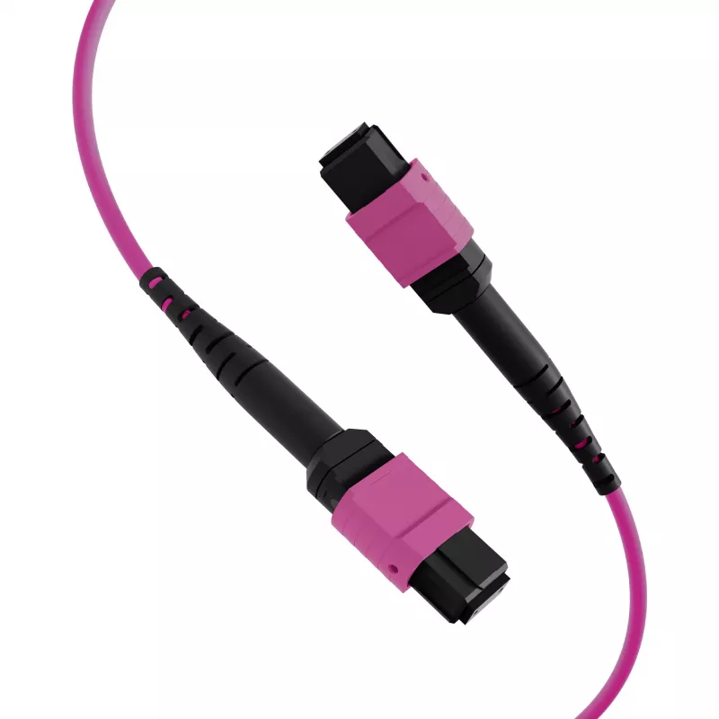 EFB Elektronik MTP-F/MTP-F 48 pluoštų matricos pataisos kabelis OM4, LSZH Erika Violet, Code A, 25m MTPF48MTPFOM4-25-A