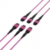 EFB Elektronik MTP-F/MTP-F 48 pluoštų matricos pataisos kabelis OM4, LSZH Erika Violet, Code A, 25m MTPF48MTPFOM4-25-A