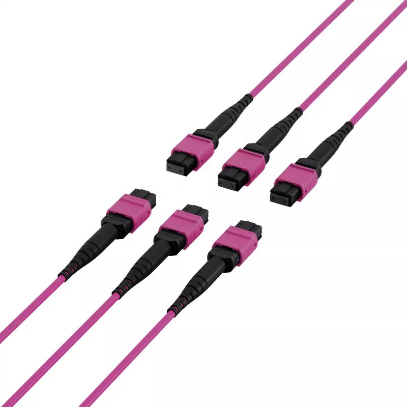 EFB Elektronik MTP-F/MTP-F 48 pluoštų matricos pataisos kabelis OM4, LSZH Erika Violet, Code A, 25m MTPF48MTPFOM4-25-A