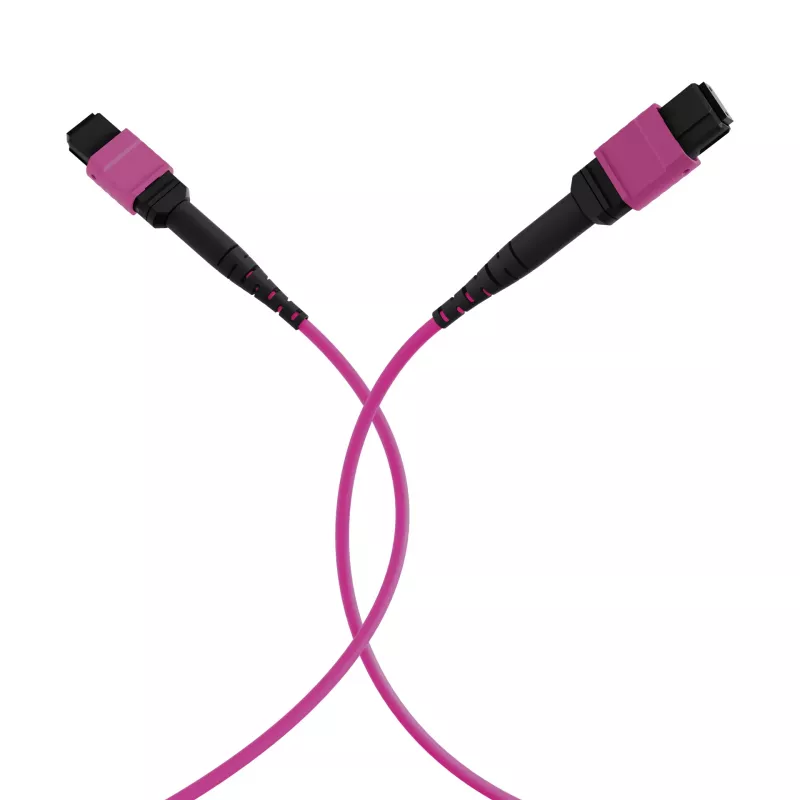 EFB Elektronik MTP-F/MTP-F 48 pluoštų matricos pataisos kabelis OM4, LSZH Erika Violet, Code A, 25m MTPF48MTPFOM4-25-A