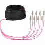 EFB Elektronik U-DQ ZN BH OM4 8G 1x8 LC-LC 10m Dca LSZH magistralinis kabelis O8322S10OM4