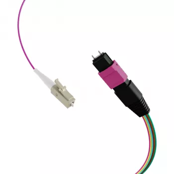EFB Elektronik MPO-PLUS (M)-LC fanout kabelis OM4 12 pluoštų Type B LSZH Erika-Violet 1m MPOM12LCOM4-1