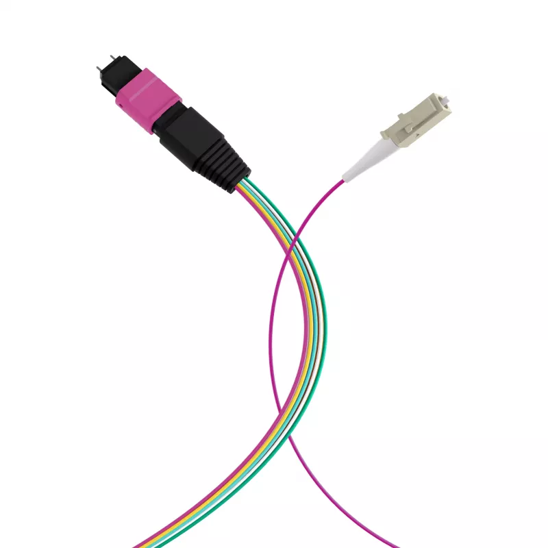 EFB Elektronik MPO-PLUS (M)-LC fanout kabelis OM4 12 pluoštų Type B LSZH Erika-Violet 1m MPOM12LCOM4-1