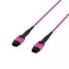 EFB Elektronik MPO-PLUS (F) į MPO-PLUS (F) OM4 daugiamodis optinis pataisos kabelis, 8 pluoštai, B tipo, LSZH, Erika Violet, 2m MPOF8MPOFOM4-2