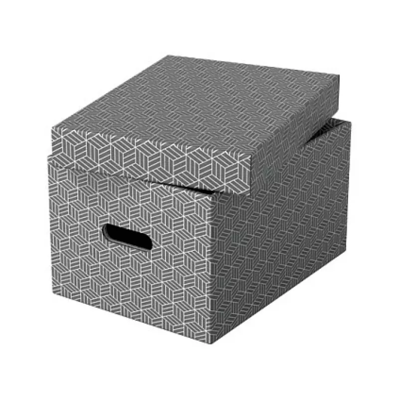 Leitz 628283 Esselte Home vidutinė laikymo dėžė, balta/pilka, 3 vnt. rinkinys, 14L, perdirbtas kartonas