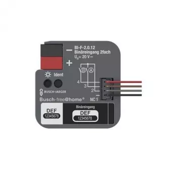 BUSCH-JAEGER KNX dvejų kanalų įleidžiamas binarinis įėjimas BI-F-2.0.12 (2CDG510023R0021)
