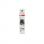 ABB SX201-B40 Flexline modulinis automatinis jungiklis 40A 1P B charakteristikos 6kA 2CDS251003R0405