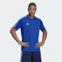 Adidas Tiro 19 treniruočių marškinėliai trumpomis rankovėmis poliesteris juodi/balti vyrams S