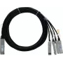 BlueLAN 2m 40G QSFP į 4x 10G SFP+ pasyvus tiesioginio prijungimo išskaidymo kabelis, suderinamas su Centec (CAB-Q-S-2M-CT-BL)